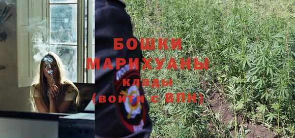 стаф Покачи