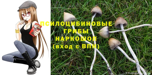 apvp Белокуриха