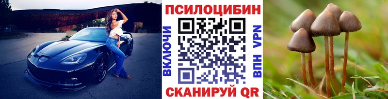 Галлюциногенные грибы прущие грибы  закладки  Мглин 